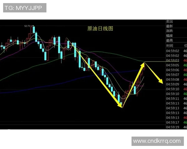 独家解析：杭州网球队各项技术特点深度对比与发展趋势分析