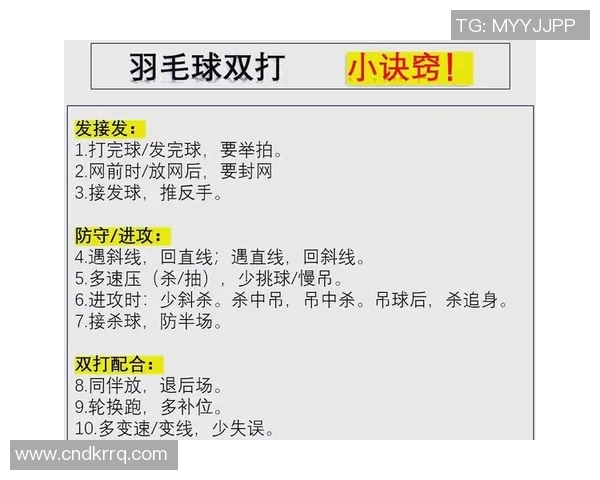 北京羽毛球队区域防守策略解析与战术应用探讨