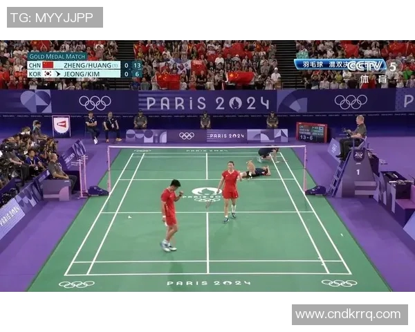 南京羽毛球队拼搏历程揭秘锦标赛背后的奋斗与荣耀