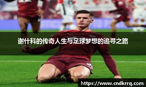 谢什科的传奇人生与足球梦想的追寻之路
