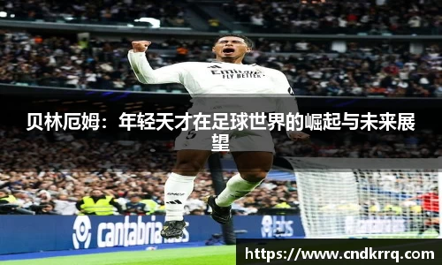 爱游戏ayx