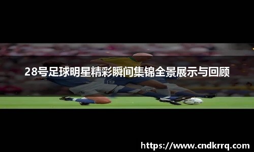 韦德体育bevictor